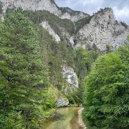 Chloe's Apartament *