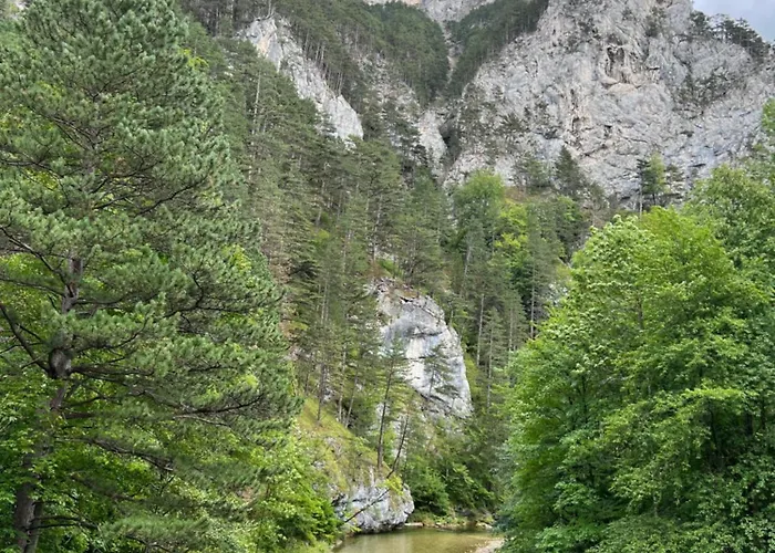 Chloe's Apartamento *